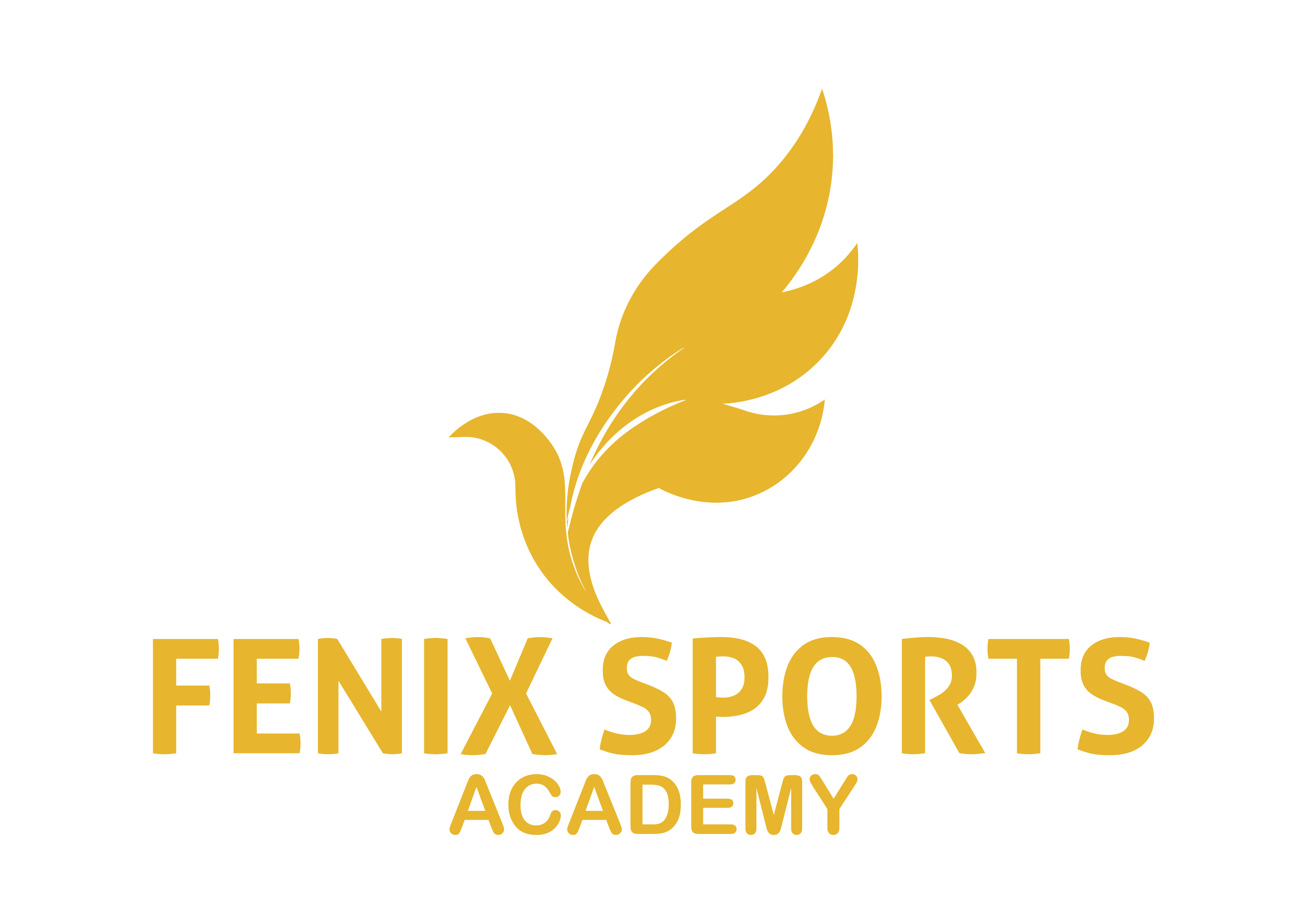Fenix Sports Academy Logo